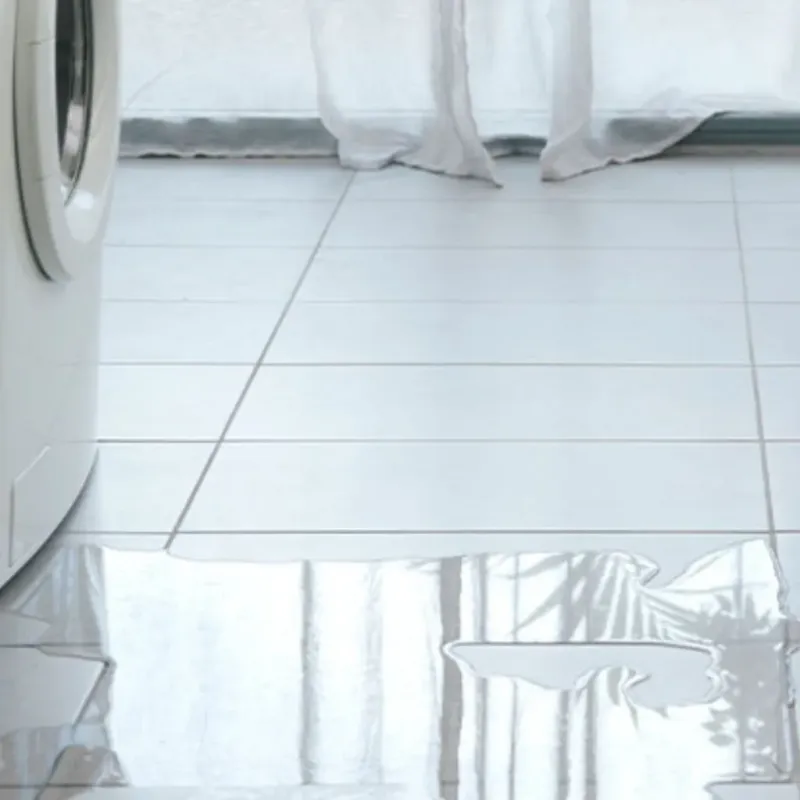 Appliance Leak Cleanup in Belleair, FL