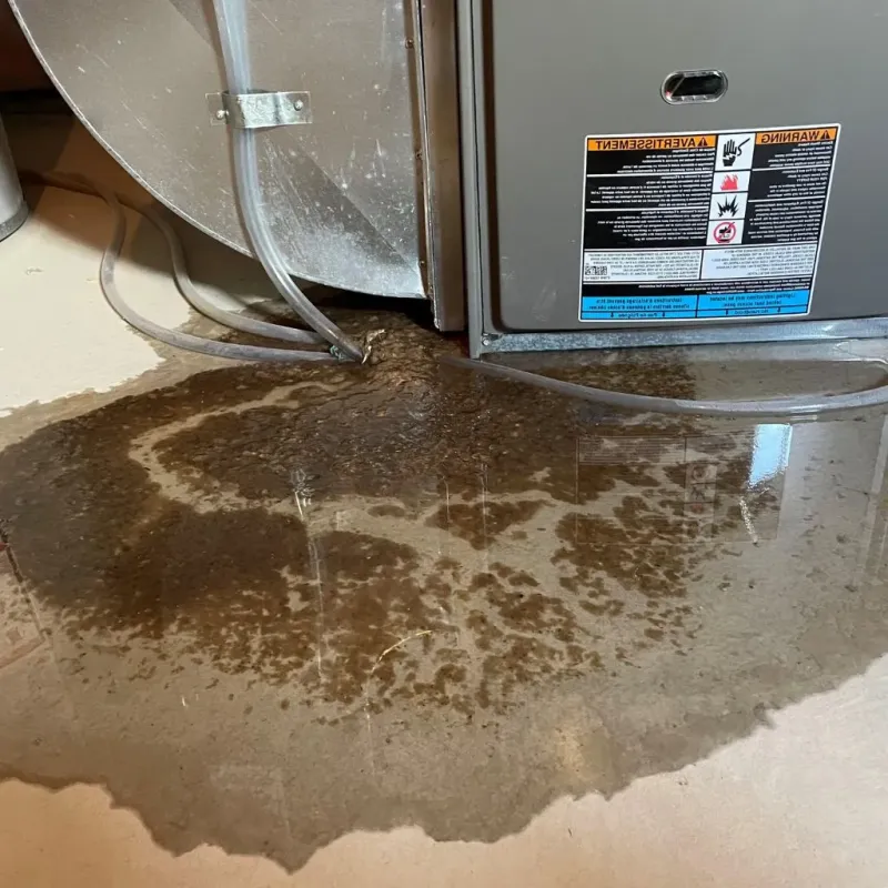 Pipe Burst and Leak Restoration in Belleair, FL